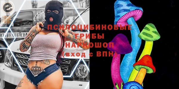 бошки Аркадак